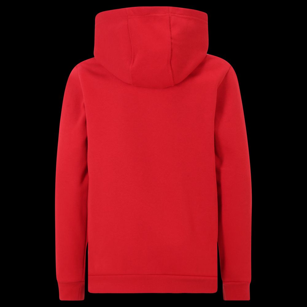 Rote Kapuzenjacke von hinten. Keine besonderen Details oder Verzierungen.