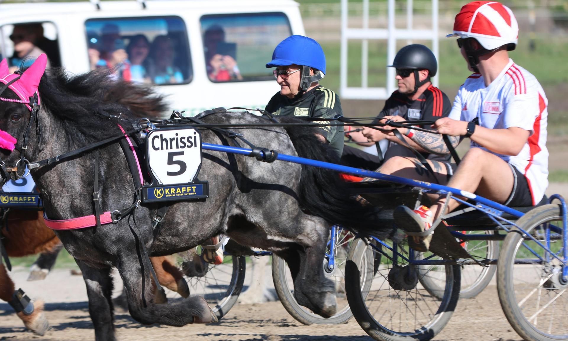 Ein geflecktes Pony zieht einen Wagen mit einer Person im Sporthelm, während im Hintergrund weitere Teilnehmer zu sehen sind.