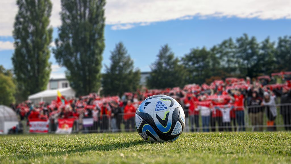 Ein Fußball auf einem Rasenfeld mit einer jubelnden Menschenmenge im Hintergrund, die Schals hält.