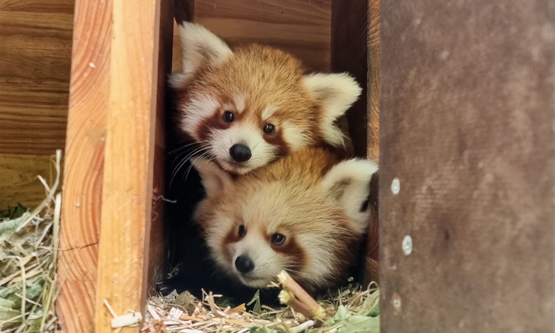 Auf in den Tierpark zu Lisa und Freddy