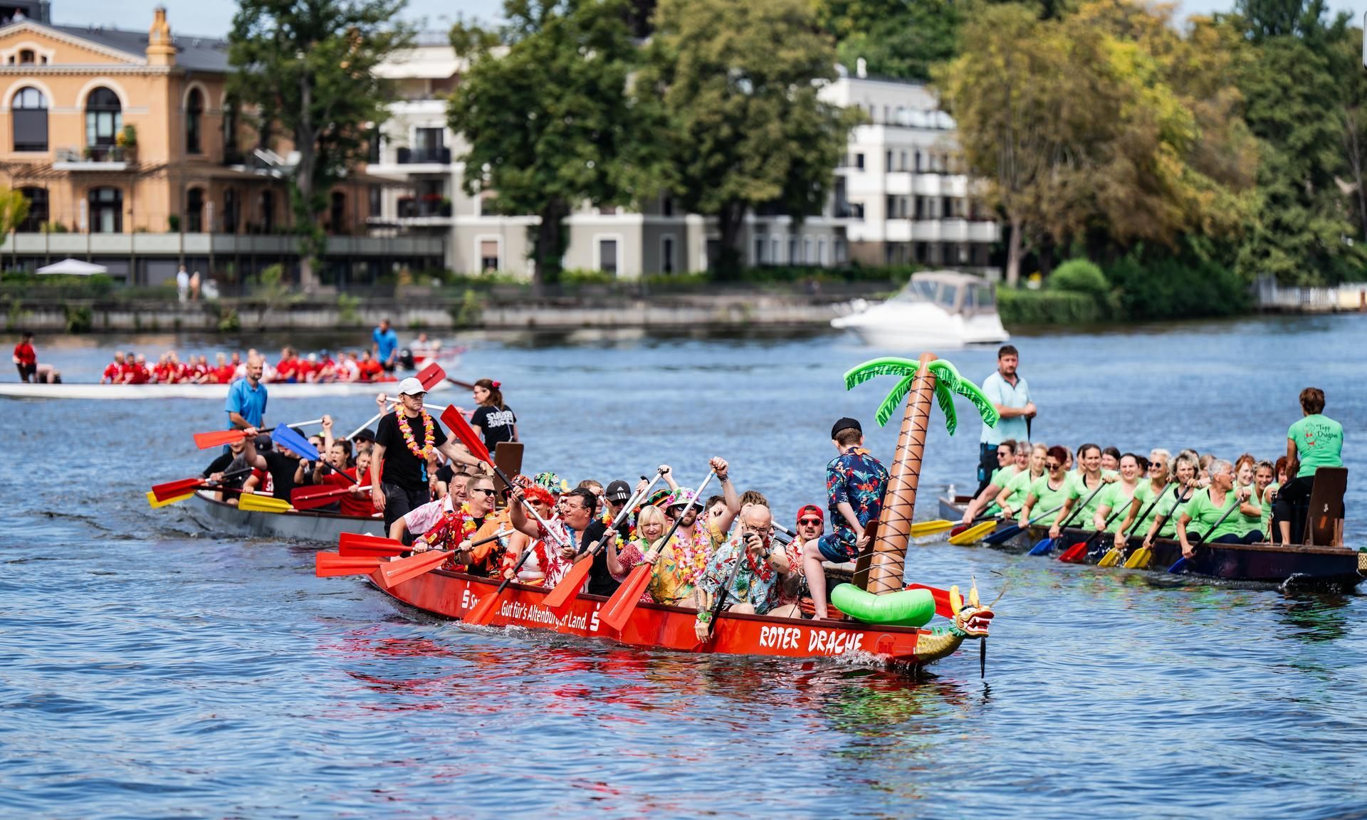 Gruppen von Menschen paddeln in Drachenboote auf einem Gewässer, umgeben von Bäumen und Gebäuden im Hintergrund.