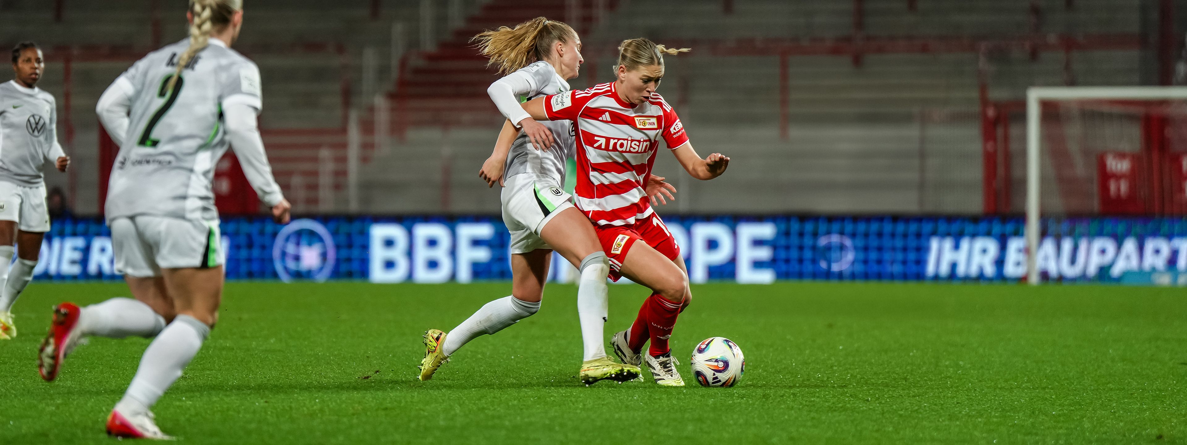 Selbstbewusst und hungrig zum Wolfsrudel