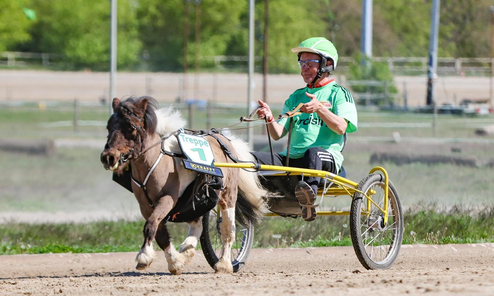Ein Mann in einem grünen Shirt fährt mit einem Shetlandpony in einem Sulky auf einer Rennbahn.