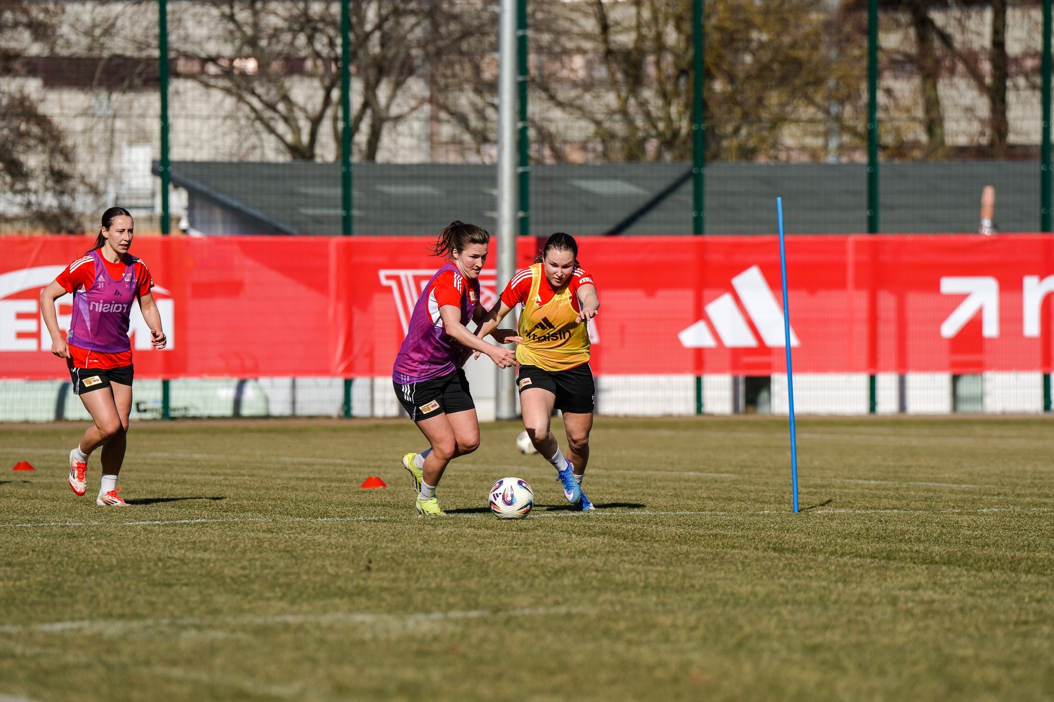 Zwei Spielerinnen im Training für Frauenfußball dribbeln um Hindernisse auf einem grünen Platz. Im Hintergrund sind Werbebanner sichtbar.